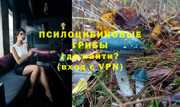 героин Пересвет