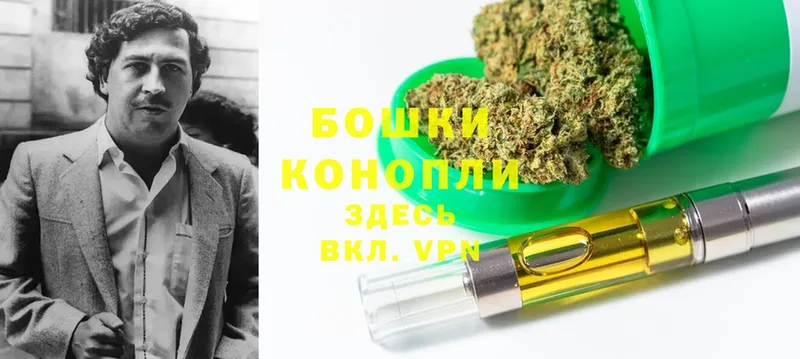 Каннабис OG Kush  купить   Костерёво 